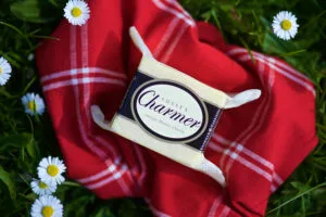 sussex charmer cheese on a picnic table